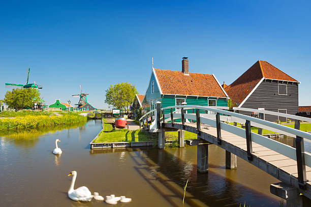 tradicionais casas holandesas em zaanse schans, holanda - zaanse schans bridge house water imagens e fotografias de stock