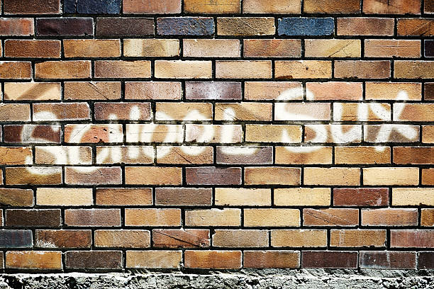 istock Rebellious and mis-spelled graffiti on wall reads School Sux 181873472