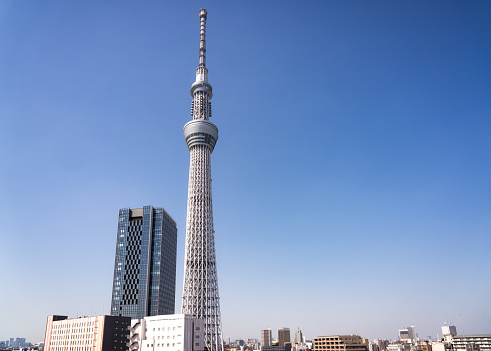 Tokyo's Sky Tree tower in Chiyoda, with the city's skyline on the horizon on a clear sunny day.