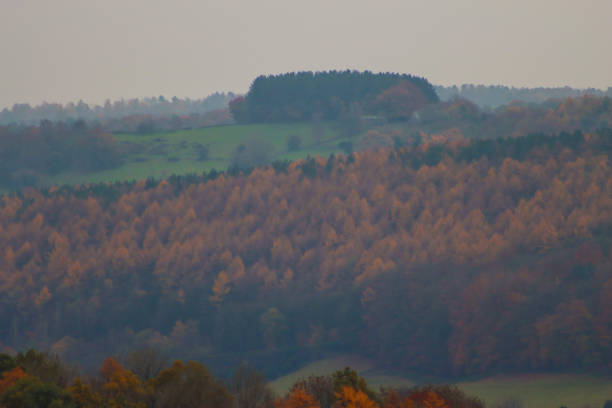 View of Autumn leafs in Matlock Bath