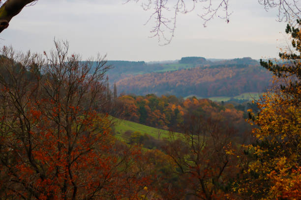 istock View of Autumn leafs 1818756138