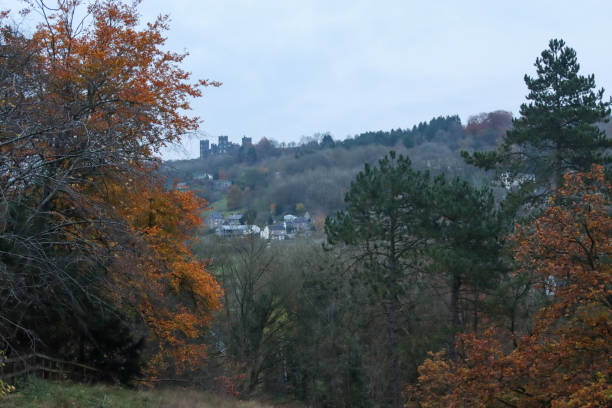 istock View of Autumn leafs 1818756157