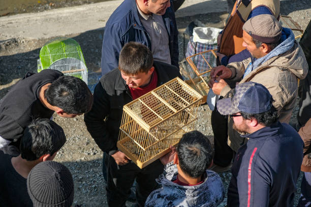 Istaravshan, Tajikistan - November 26, 2023: Bird sellers at the Istaravshan Central Market, Tajikistan.