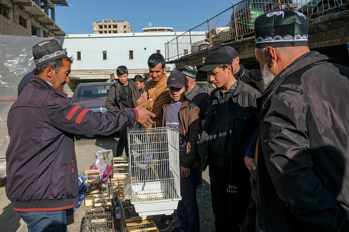 Istaravshan, Tajikistan - November 26, 2023: A bird seller at the Istaravshan Central Market, Tajikistan.