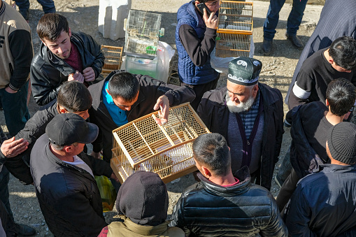 Istaravshan, Tajikistan - November 26, 2023: Bird sellers at the Istaravshan Central Market, Tajikistan.