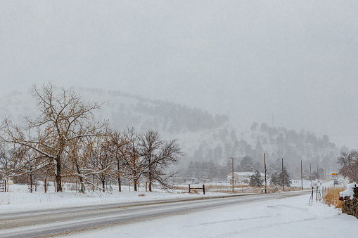Colorado Living. Fort Collins, Colorado - Denver Metro Area Residential Winter Panorama. Snow Fall in the Neighborhood