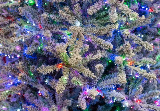 istock Close up on Christmas tree with colorful light 1818762725
