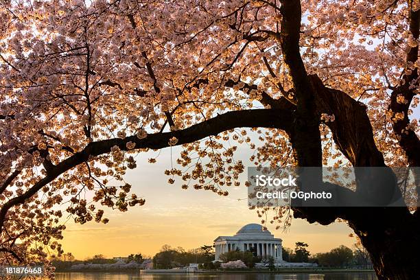 Kirschblüten Frame O Em Washington Dc Memorial De Jefferson - Fotografias de stock e mais imagens de América do Norte