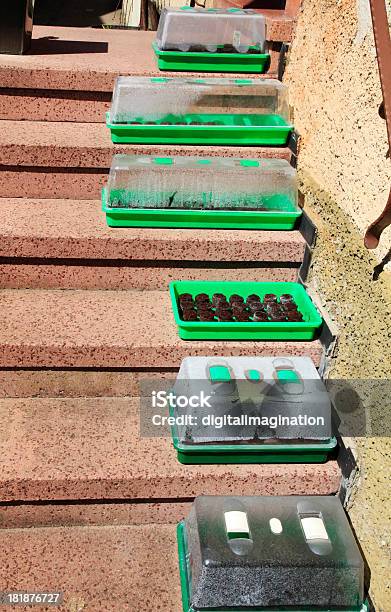 Foto de Pequenas Viveiro e mais fotos de stock de Casa - Casa, Crescimento, Degraus