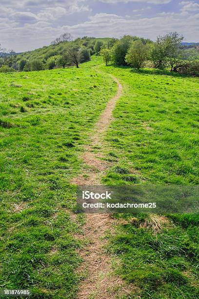 Puerta Foto de stock y más banco de imágenes de Accesibilidad - Accesibilidad, Actividades y técnicas de relajación, Agricultura