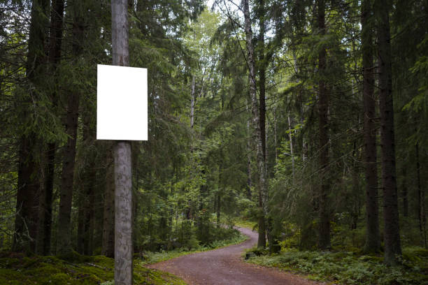 istock Empty white sign next to a gravel path in a forest. 1818770330