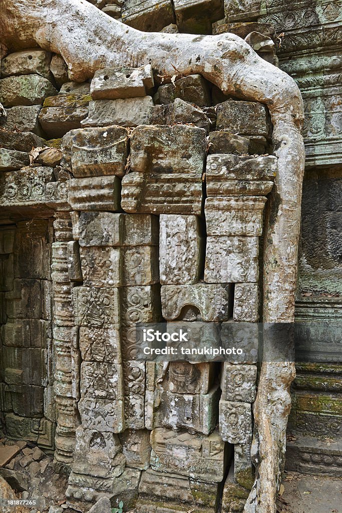 Envahi par la végétation racine au Temple Ta Prohm - Photo de Angkor libre de droits