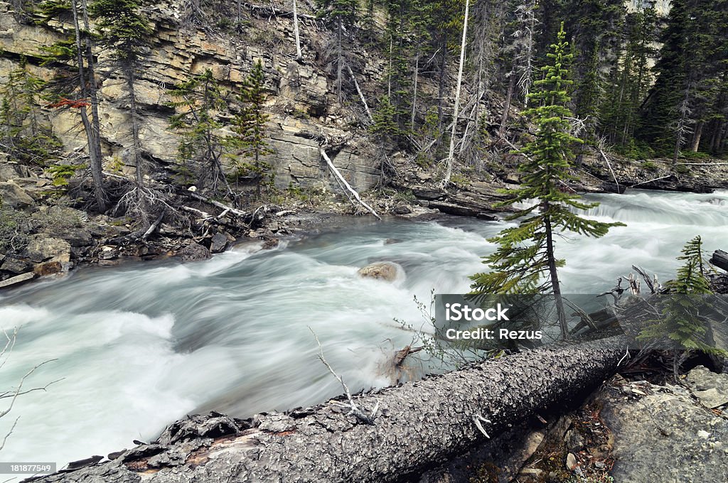 Fast Ruscello di montagna nel Canyon Maligne, Montagne Rocciose Canadesi - Foto stock royalty-free di Acqua