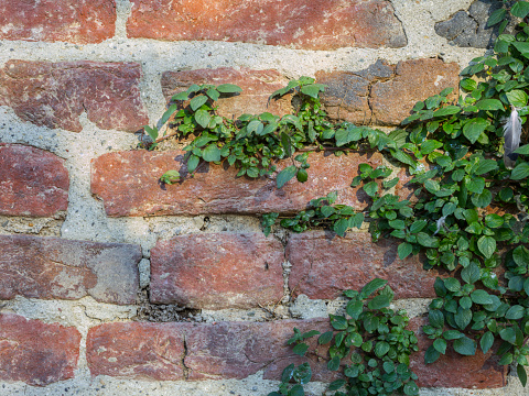 This image shows a close-up full frame texture background view of an attractive speckled brown and white brick wall, in traditional running bond brickwork pattern.