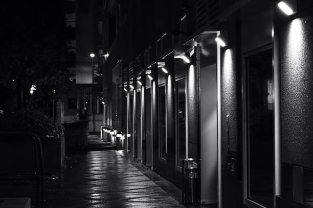 istock Frankfurt Night Black and White Light people Buildings 1818778287