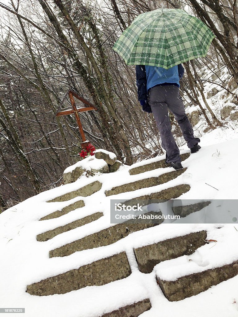 Homem passando a estação da Cruz em Sveta Gora Eslovénia - Royalty-free A nevar Foto de stock