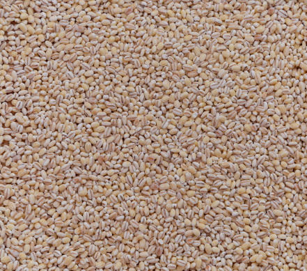 Wheat beans background