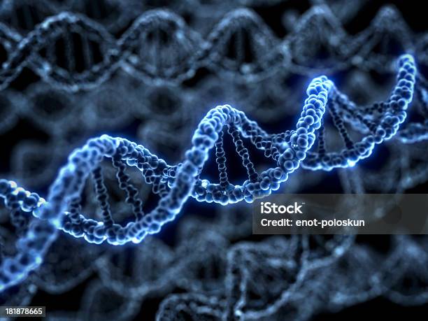 Днк — стоковые фотографии и другие картинки Без людей - Без людей, Биология, Биотехнология