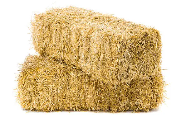 Two bales of hay on white background