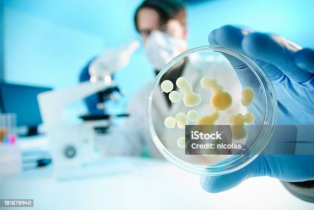 La Investigación Científica Foto de stock y más banco de imágenes de Agarrar - Agarrar, Asistencia sanitaria y medicina, Bacteria