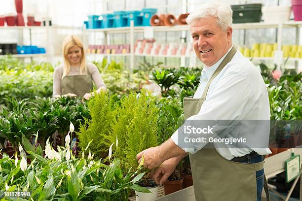 Trabajo Joyerías En Invernáculo Foto de stock y más banco de imágenes de Adulto - Adulto, Adulto joven, Belleza