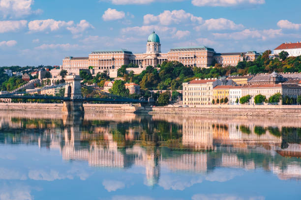 цепной мост сечени через реку дунай в будапеште, венгрия - royal palace of buda фотографии стоковые фото и изображения