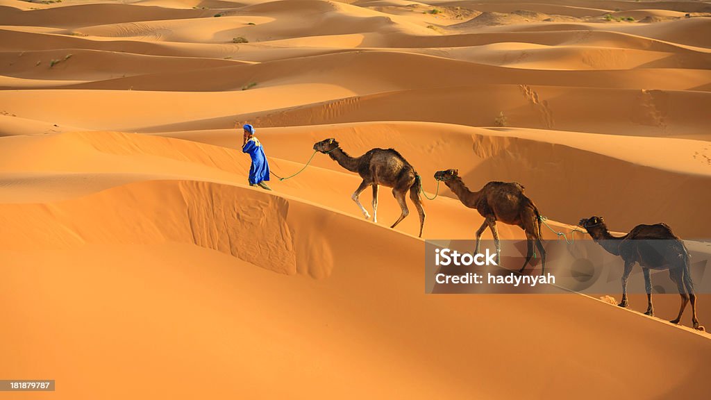 Giovane Tuareg con cammelli nel deserto del Sahara occidentale dell'Africa - Foto stock royalty-free di Marocco