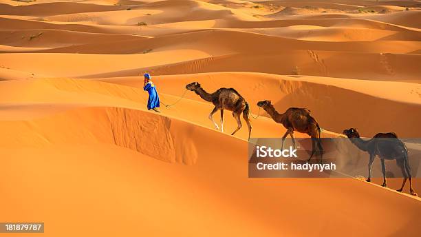Giovane Tuareg Con Cammelli Nel Deserto Del Sahara Occidentale Dellafrica - Fotografie stock e altre immagini di Marocco