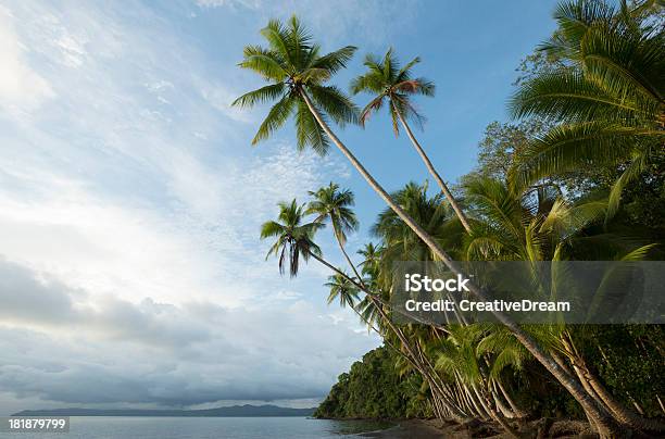 Foresta Pluviale Tropicale E Spiaggia Costa Rica - Fotografie stock e altre immagini di Abbracciare gli alberi - Abbracciare gli alberi, Albero, Albero tropicale