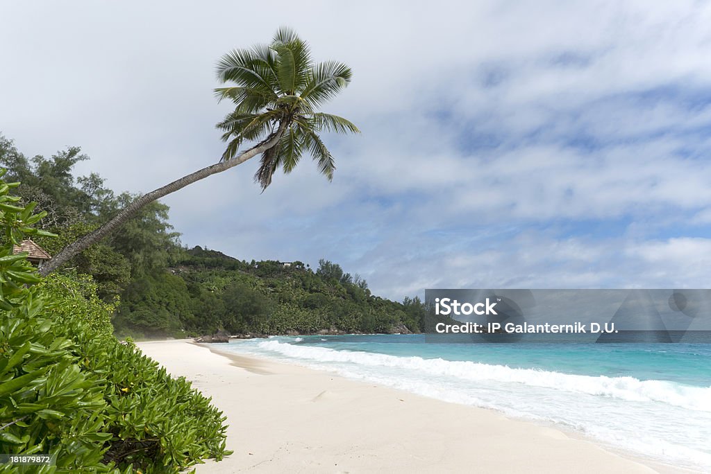 Samotny tropikalnej plaży - Zbiór zdjęć royalty-free (Australia)