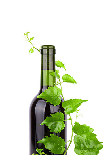 istock Red Wine and grape leaves isolated on white background 181880449