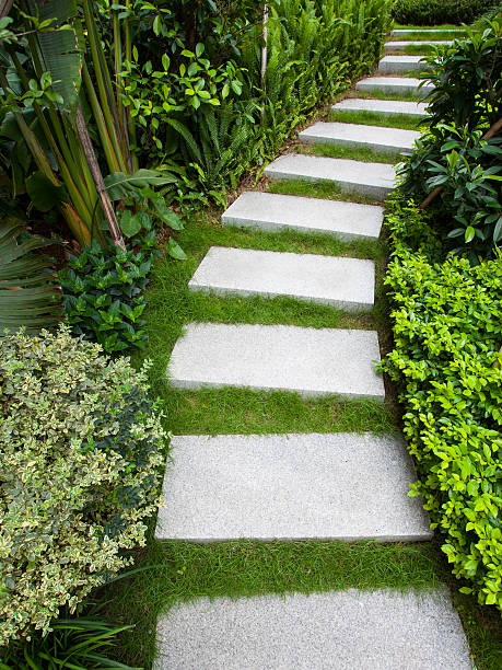 istock Stone walkway winding its way through tranquil garden 181880511