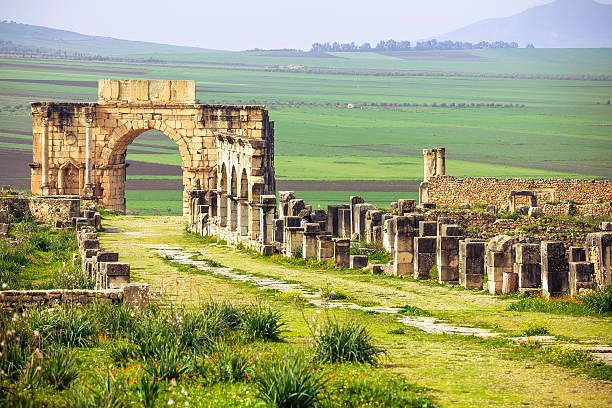 volubilis rovine in marocco - ancient column past arch foto e immagini stock