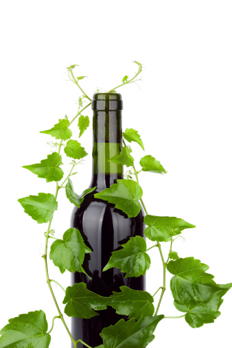 Red Wine and grape leaves isolated on white background