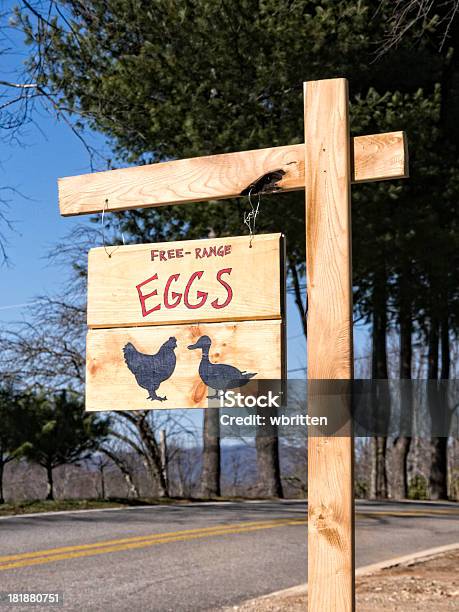 Farm Huevos Frescos Para La Venta Foto de stock y más banco de imágenes de Aire libre - Aire libre, Calle, Comida sana