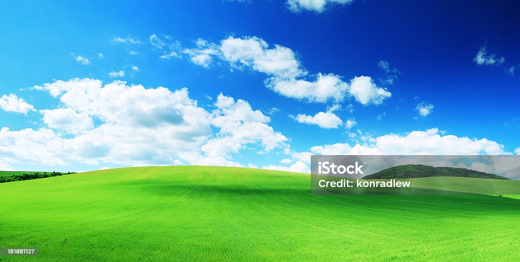 Panorama-Landschaft-Schatten Tanzen auf grünen Feld - Lizenzfrei Agrarbetrieb Stock-Foto