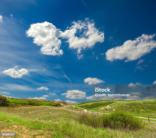 Sand Dunes At Katwijk Aan Zee Netherlands Stock Photo - Download Image Now - Animal Wildlife, Backgrounds, Birch Tree