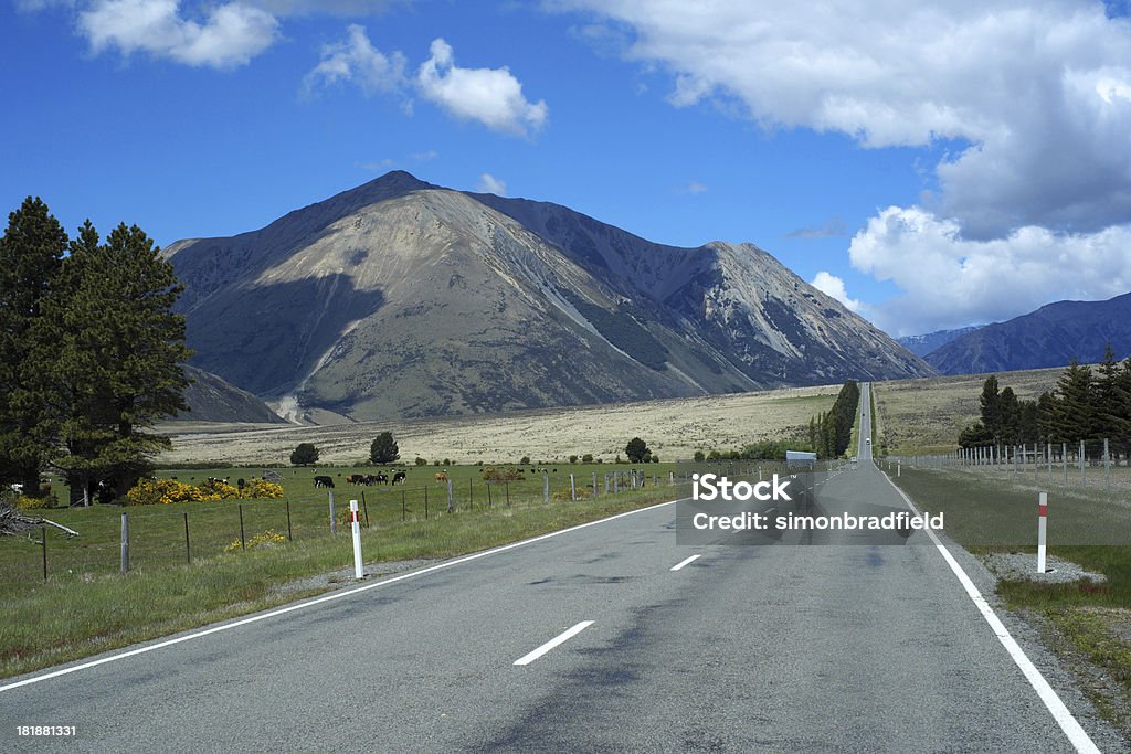 Parque nacional de Arthur's Pass, Nova Zelândia - Royalty-free Agricultura Foto de stock