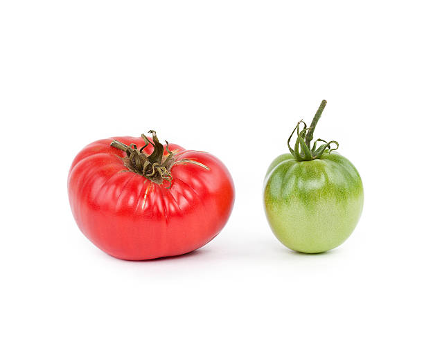 istock Green and red tomato on white 181881339
