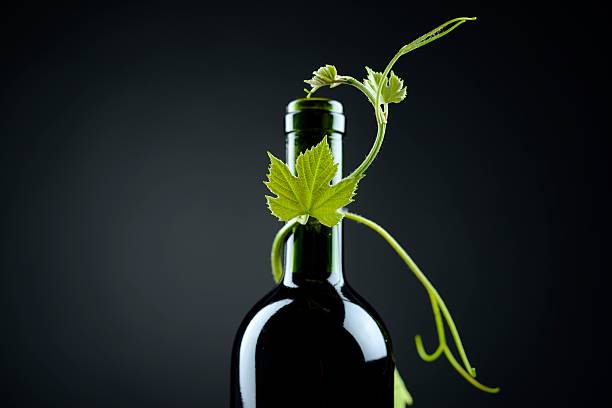 White  wine in center surrounded with red wines bottles (Click for more)