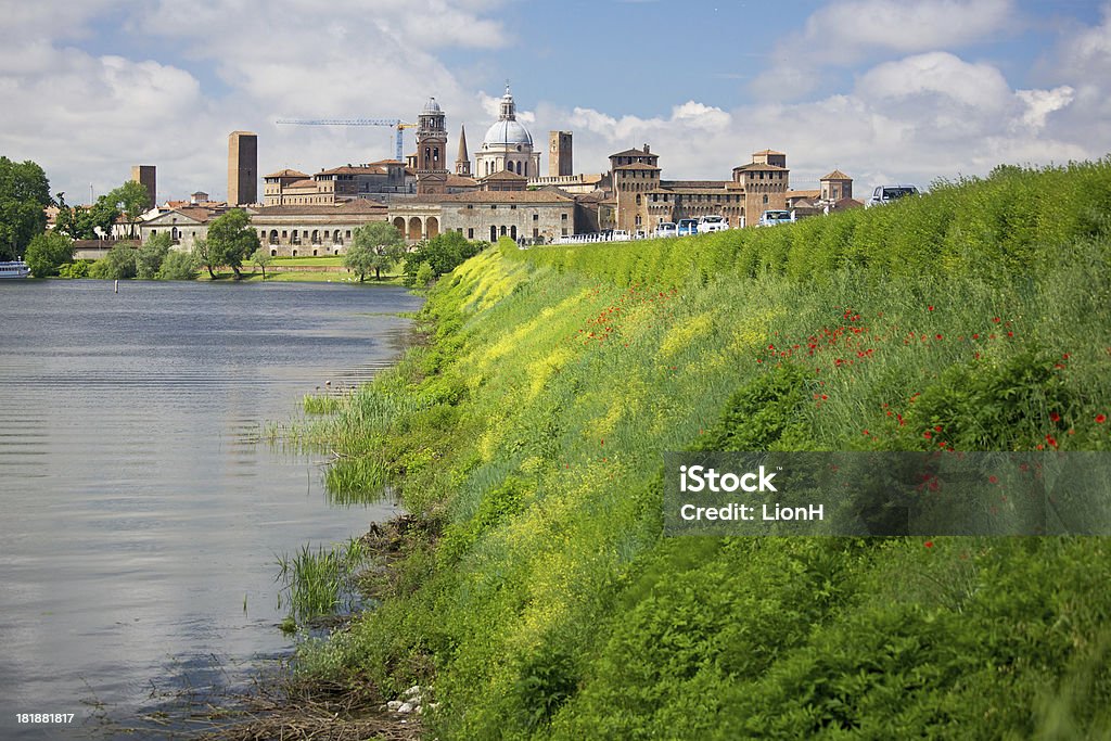 Entrada de Mantua con césped y poppies cornejo - Foto de stock de Aire libre libre de derechos