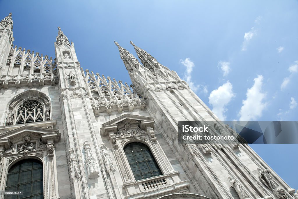 Katedra szczegóły gotyckiej - Zbiór zdjęć royalty-free (Architektura)