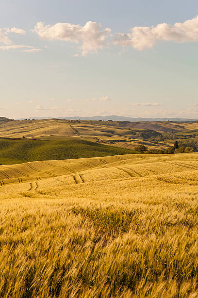 istock Sunset Tuscany landscape 181882217