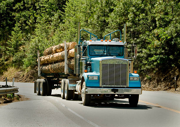 istock Log Truck, California 181882350