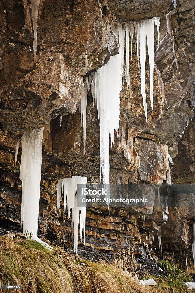 Icicles auf das Flussufer - Lizenzfrei Ast - Pflanzenbestandteil Stock-Foto