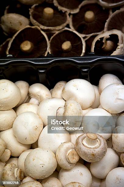 Botão De Cogumelos - Fotografias de stock e mais imagens de Bege - Bege, Branco, Cogumelo