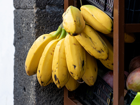 Bananas from La Palma - Canary Islands