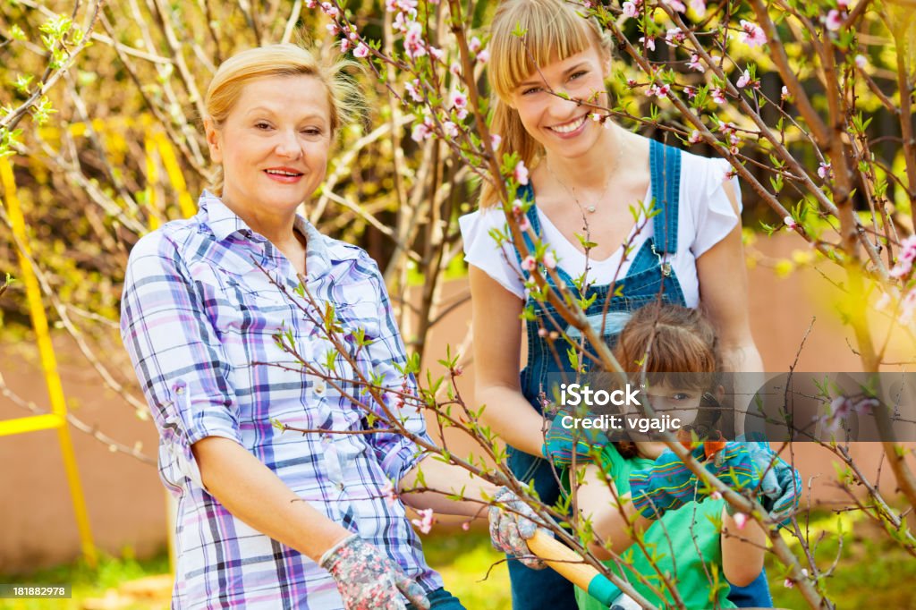 Alegre família trabalhar no Pomar. - Royalty-free 25-29 Anos Foto de stock