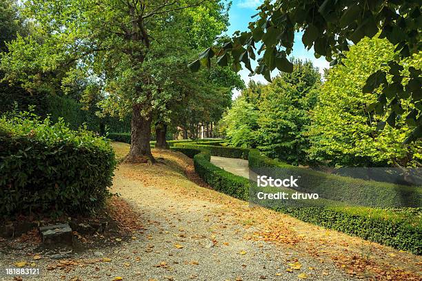 Photo libre de droit de Magnifique Parc Florence Italie banque d'images et plus d'images libres de droit de Antique - Antique, Arbre, Couleur verte