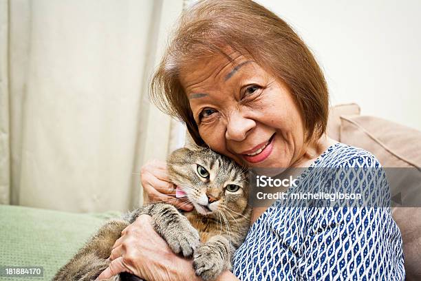 Foto de Animais De Estimação e mais fotos de stock de Gato doméstico - Gato doméstico, Gato não domesticado, Retrato